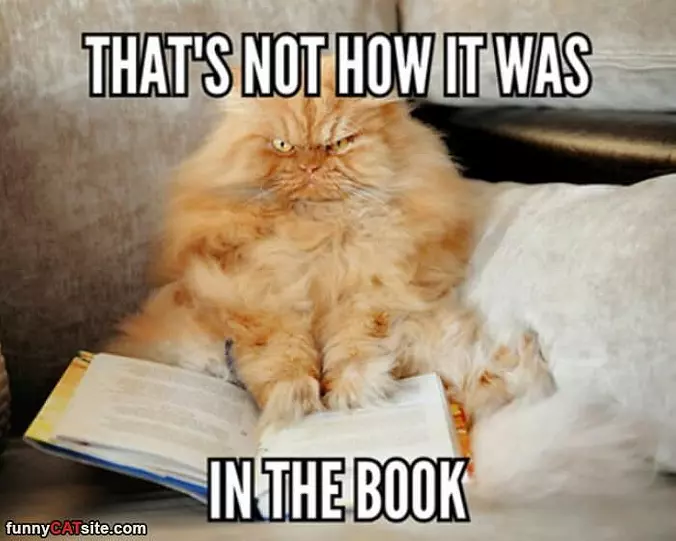 In The Book