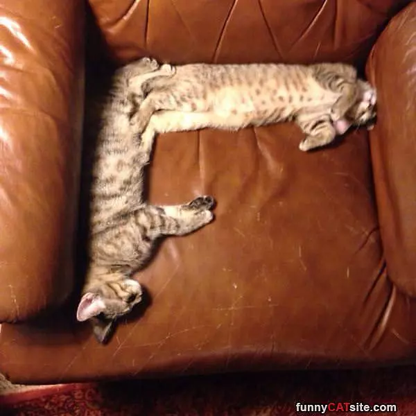 Corner Sleepers