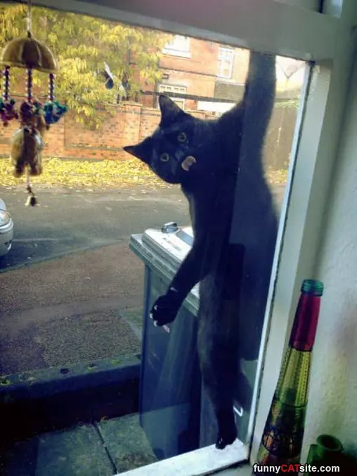 What You Have There
