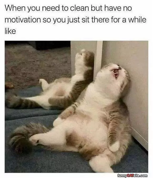 Need To Clean
