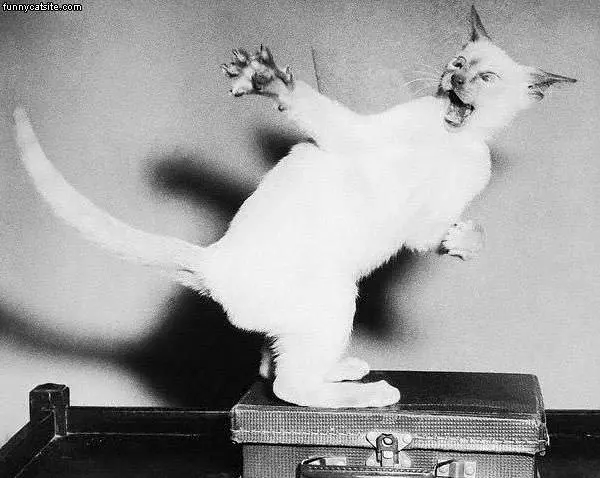 Karate