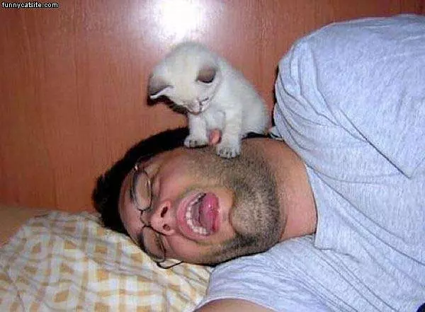 Attack The Face