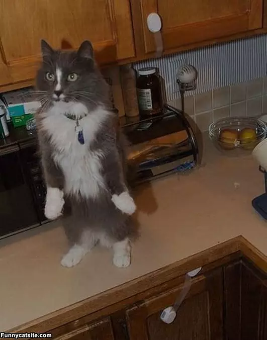 Just Stand Still