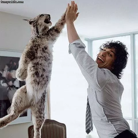 High Five