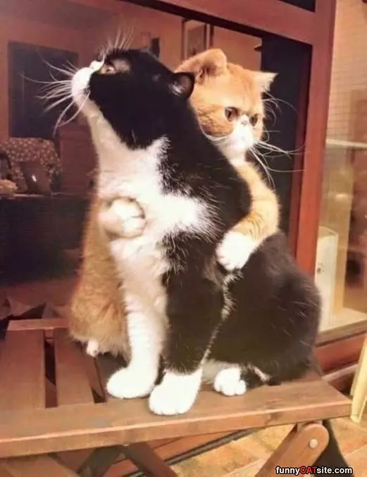 My Huggies