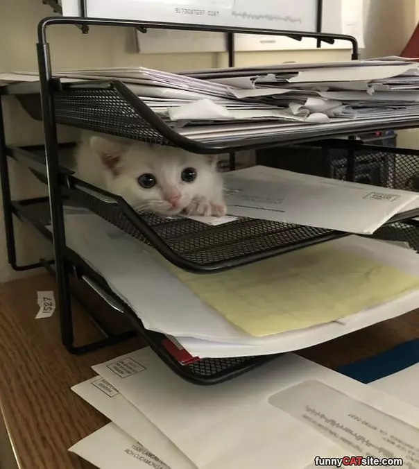 Paperwork Being Filed