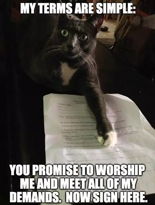 My Terms Are Simple