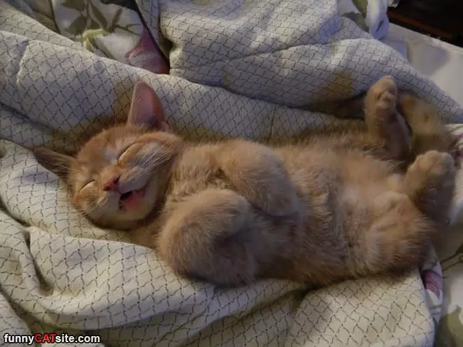This Is A Good Dream