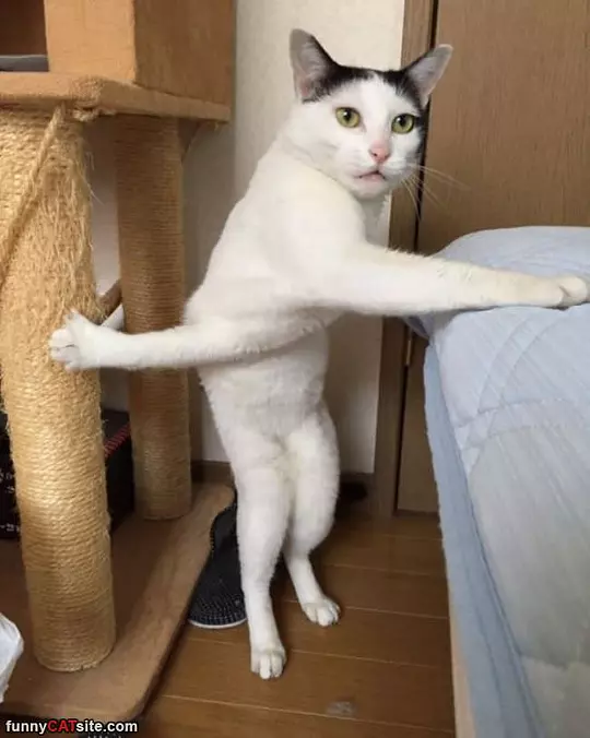 This Is Mine And This Is Mine