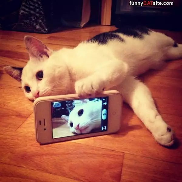 Taking Selfies