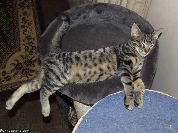 So Relaxed Today