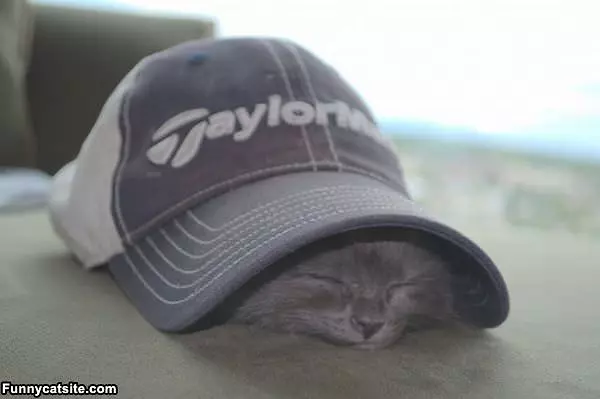 Sleeping Under A Hat