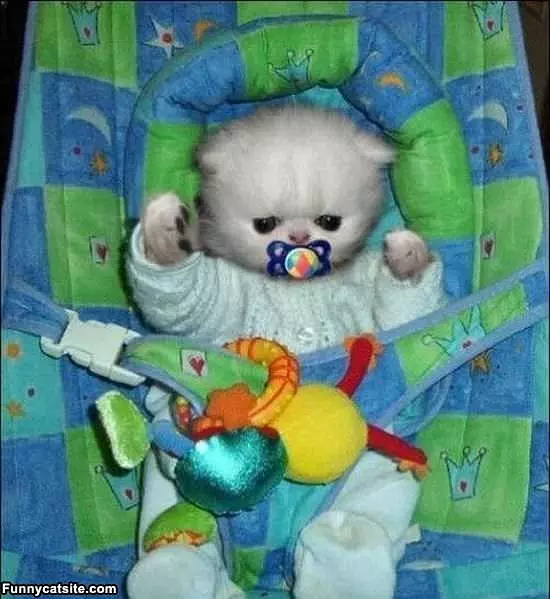 Like A Baby