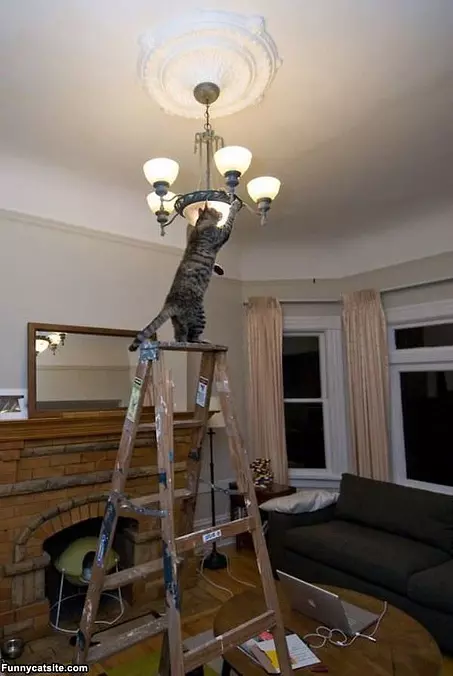 Changing Bulbs