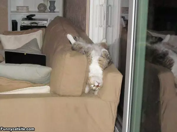 Best Position