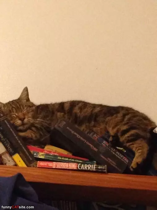 These Books Are Boring