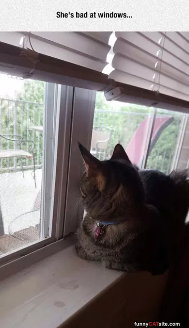 Bad At Windows