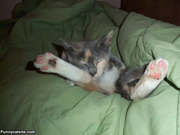 How I Sleep
