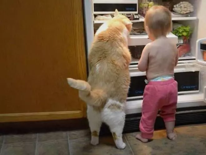 Can You Open This Tuna