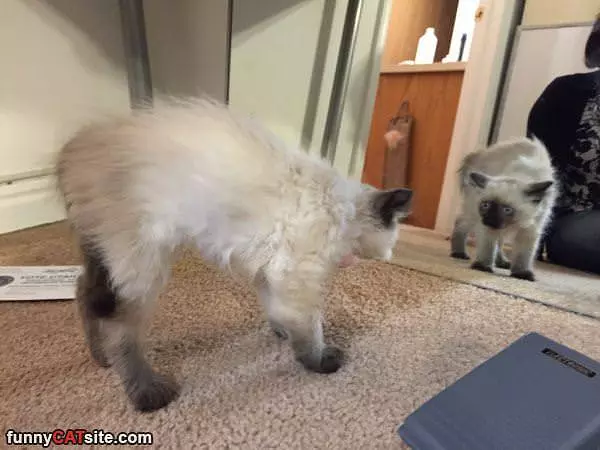 Attack Mode