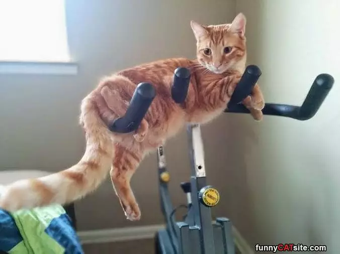 How I Train