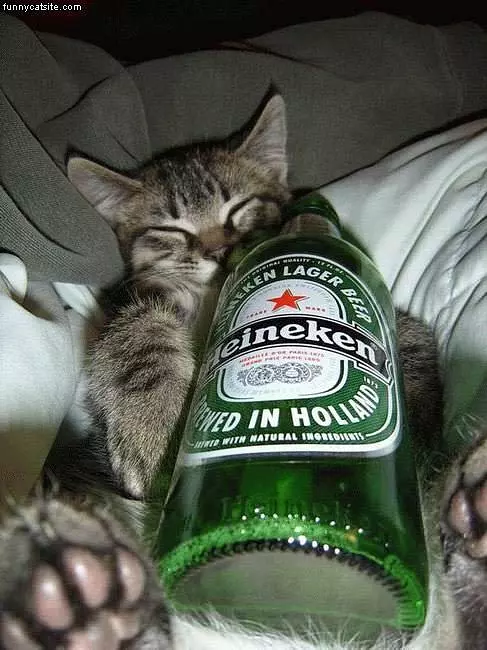 Too Much Heine