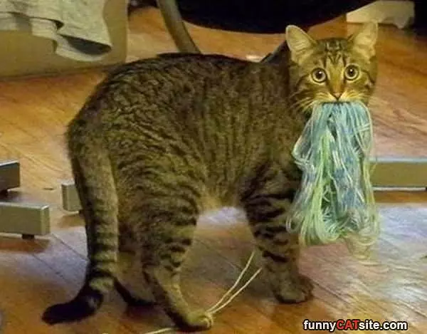 I Love Yarn