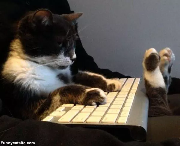 Oh Look Feets