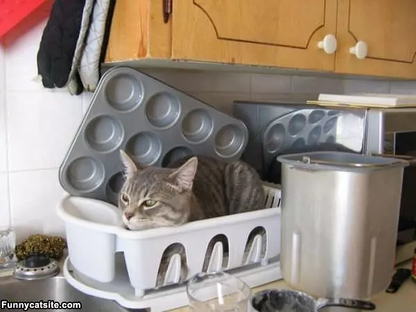 Waiting For Dishes
