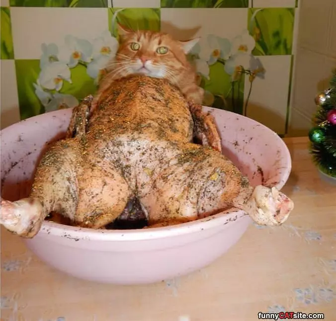 Can I Have A Bite
