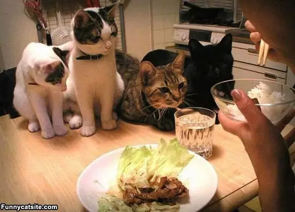 We Really Want Some