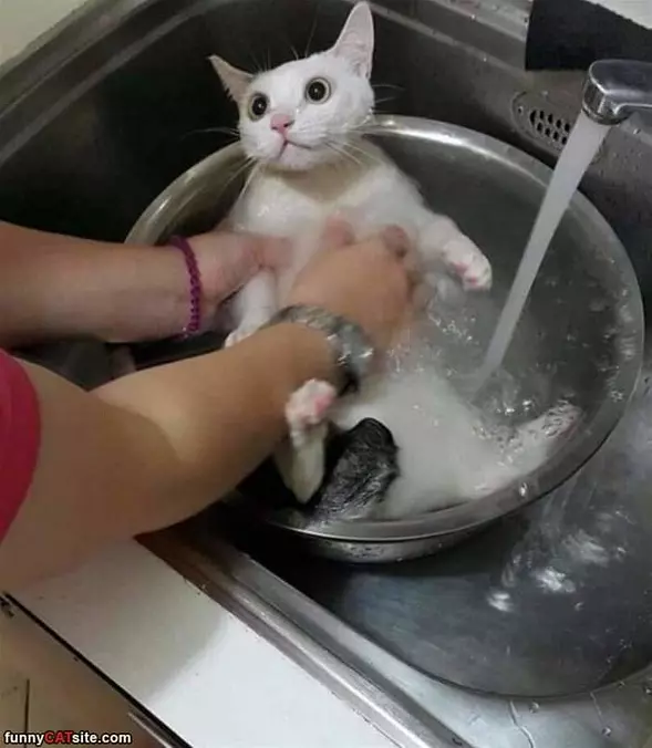 Getting Super Clean