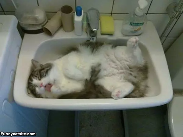 Sinking