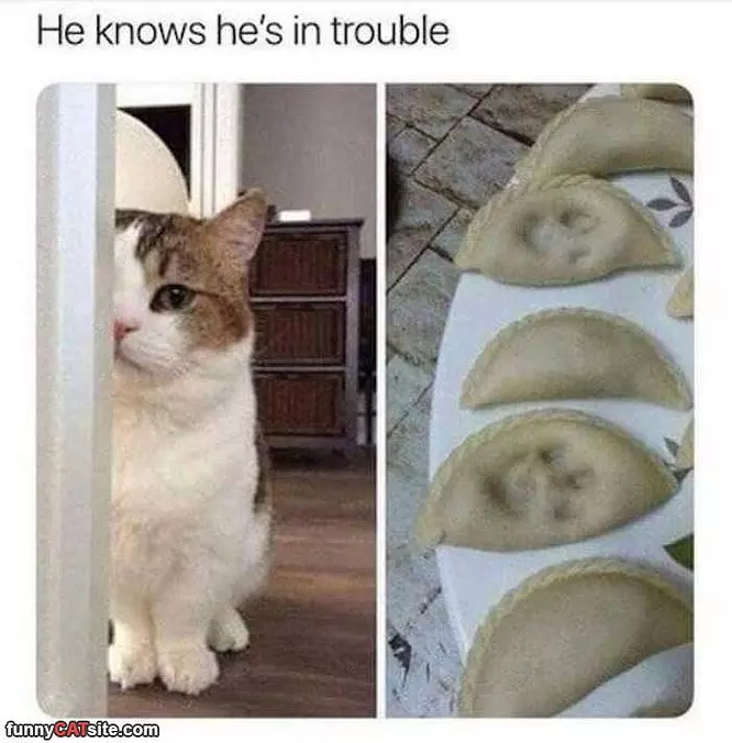 Knows He Is In Trouble