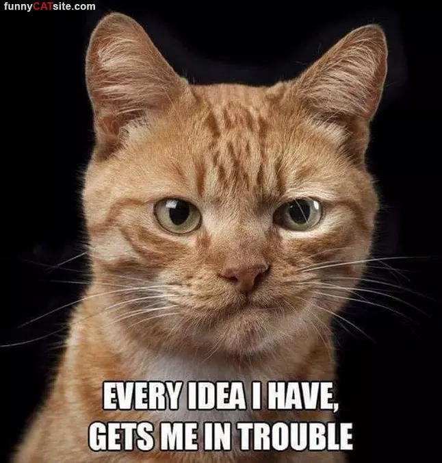 Every Idea I Have