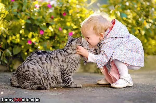 Give Me A Kiss