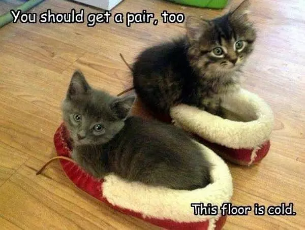 You Should Ge Some Too