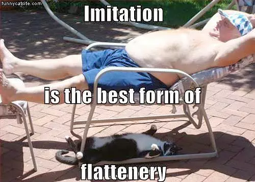 Imitation