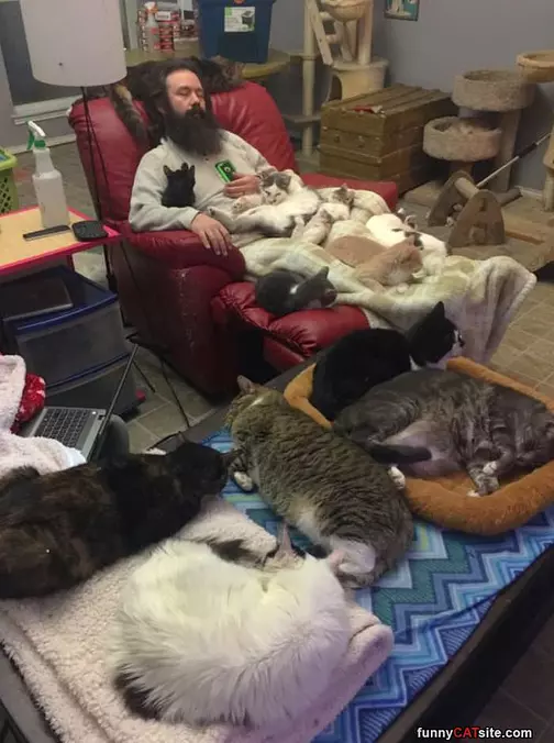 This Guy Really Loves Cats