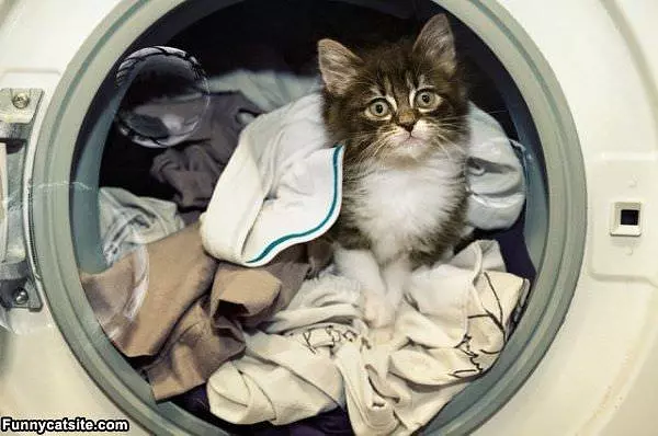 Laundry Is Done