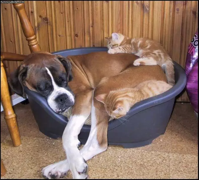Cute Hug