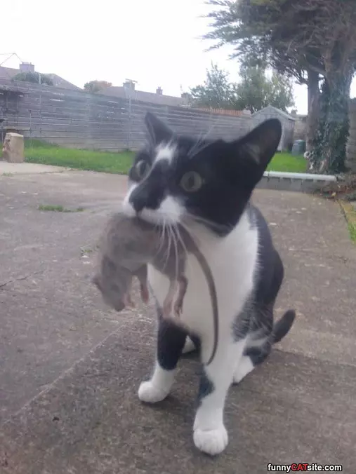 Caught Something