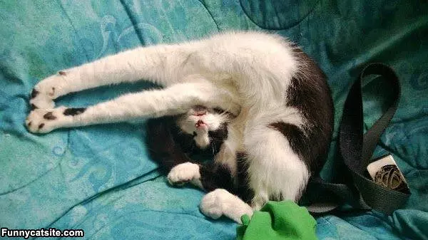 Big Stretch