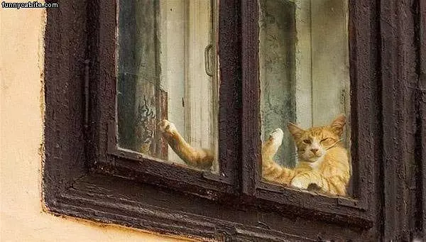 Realxing By The Window