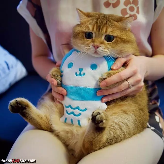 I Am A Big Baby