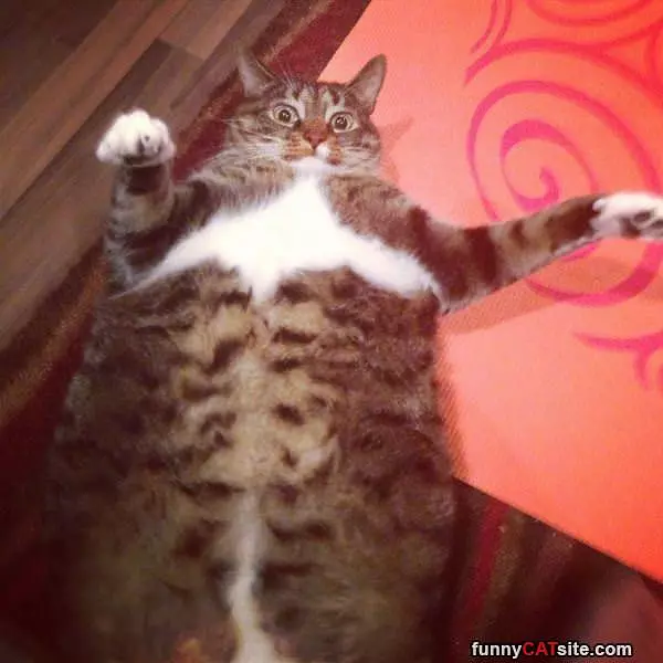 Just Laying Here Today