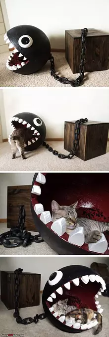 Coolest Cat Bed Ever