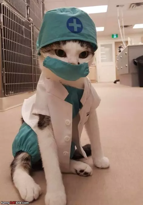 The Doctor Is In