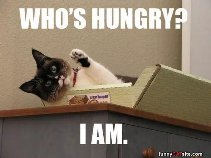 Whos Hungry
