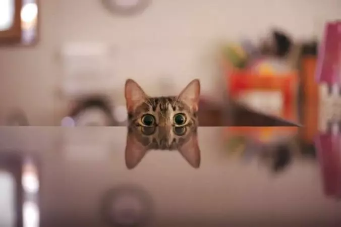 Eyes Up
